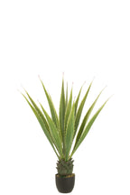 J-Line Agave Gebroken Wit Kunstmatig Groen