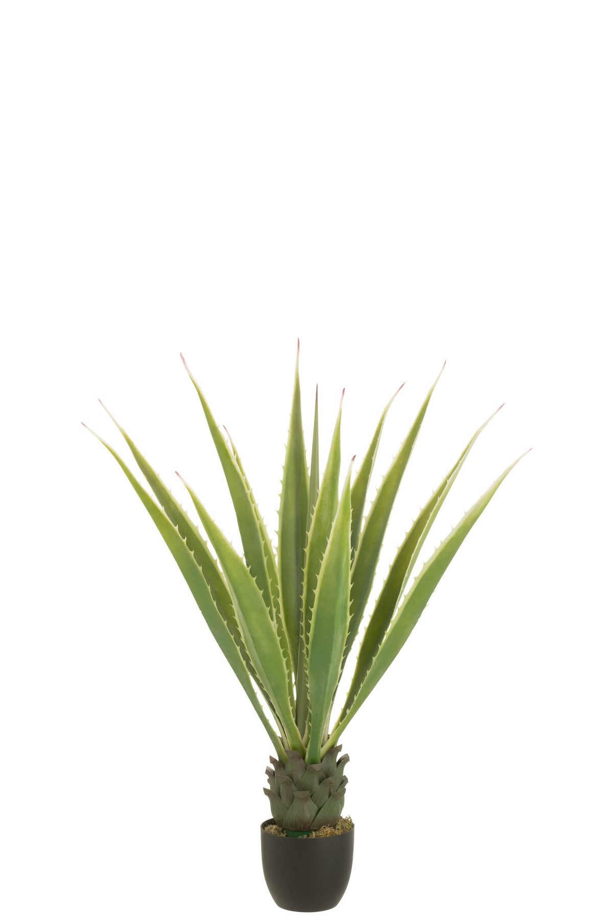J-Line Agave Gebroken Wit Kunstmatig Groen
