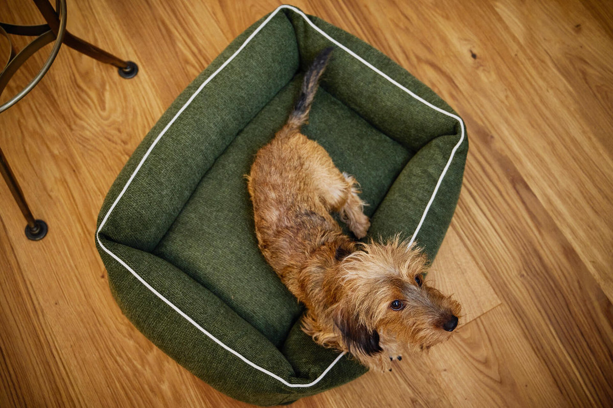 Ortho Dog Bett - Eco Olive