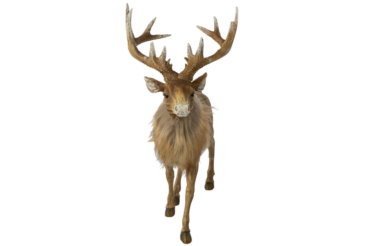 J-Line decoratie Rendier - polyresin - donkerbruin/beige - large