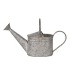 Decoratie Gieter 44x12x22 cm Grijs IJzer Plantengieter