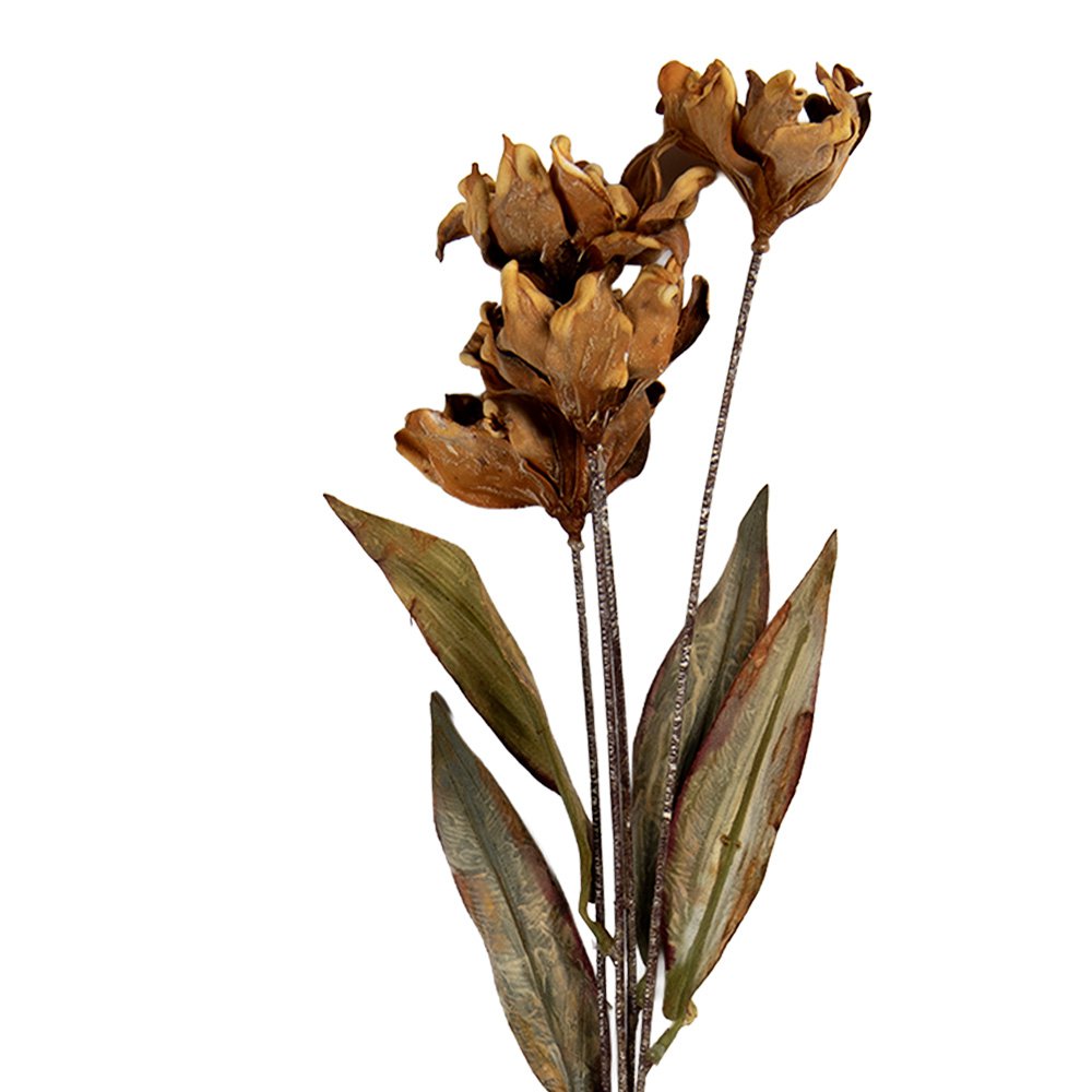 Kunstbloem 8x5x60 cm Beige Kunststof