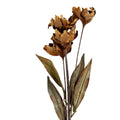 Kunstbloem 8x5x60 cm Beige Kunststof