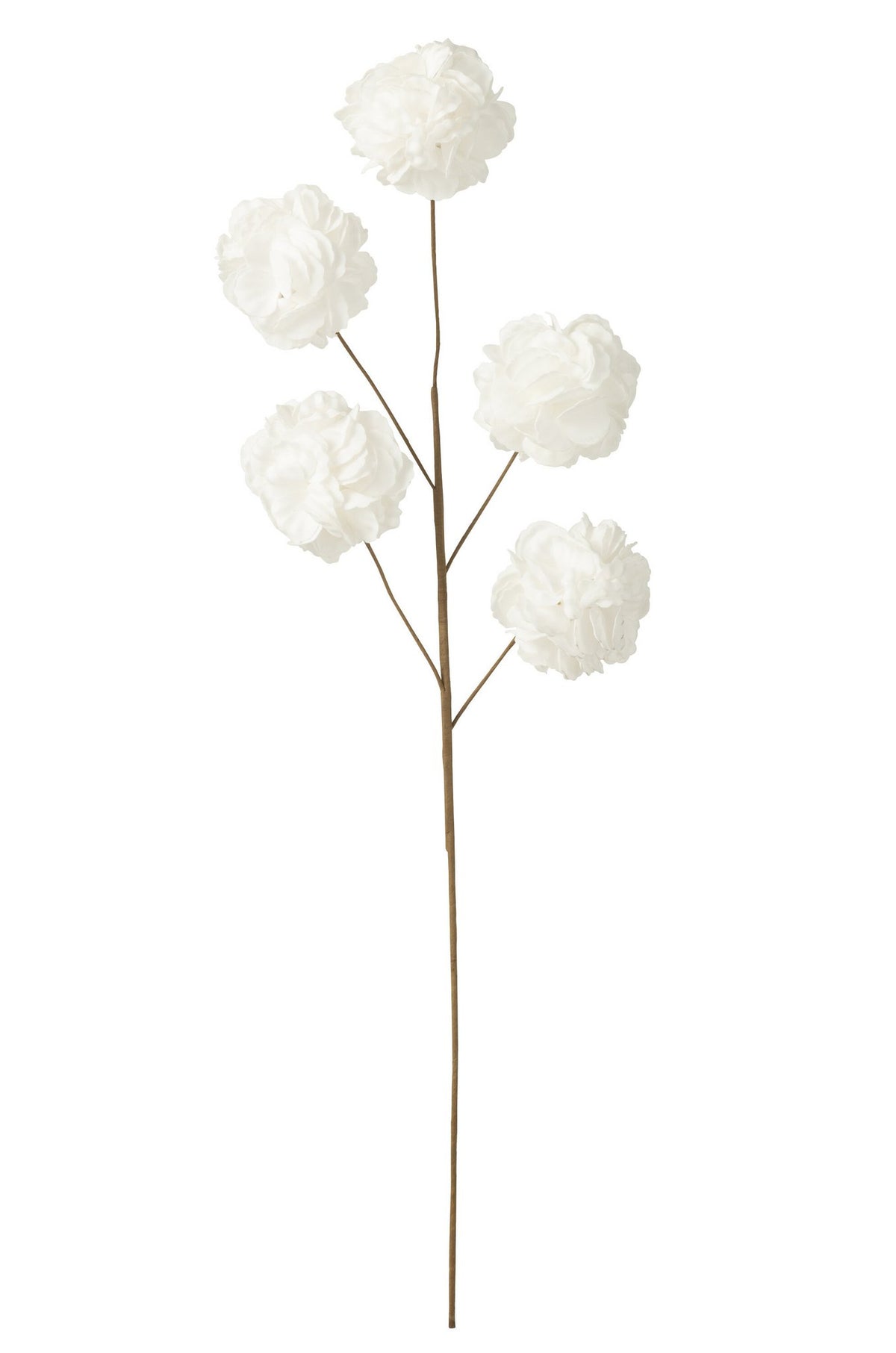 J-Line bloem tak 5 pompoms Eva - kunststof - wit
