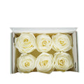 Rose Standard W-Box 6 creme