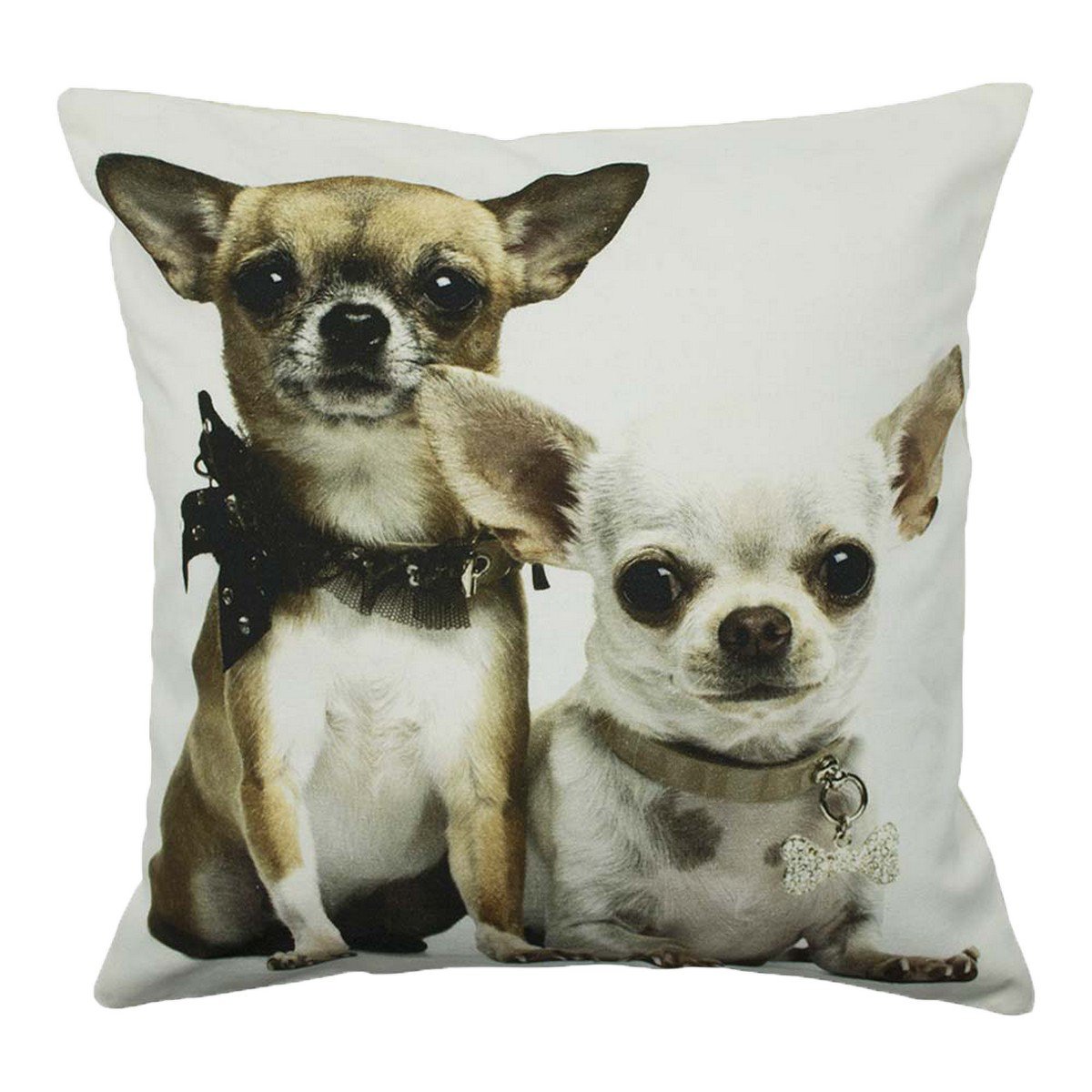 Canvas kussen 2 chihuahuas 50x50cm*