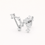 Dierenriem Stud Oorbellen