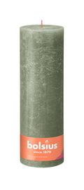 Rustiekkaars 300/100 Olive Green