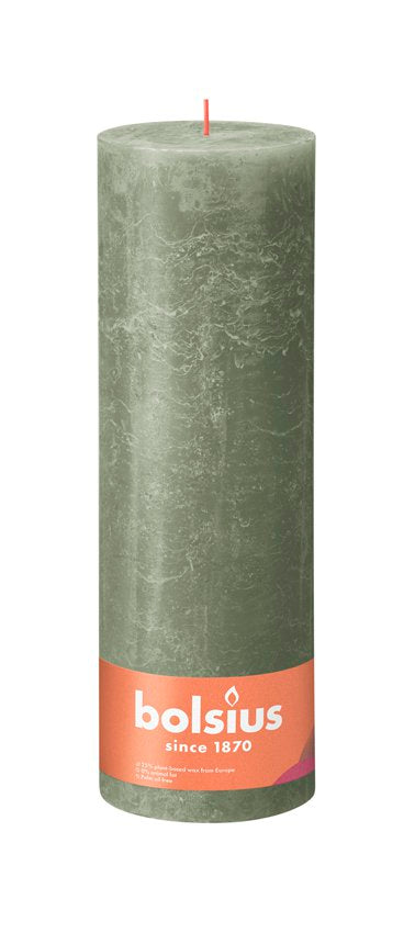 Rustiekkaars 300/100 Olive Green