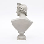 Klassieke witte Griekse godin buste sculptuur – luxe marmeren look standbeeld voor huisdecoratie, tafeldecoratie en kantoorstyling