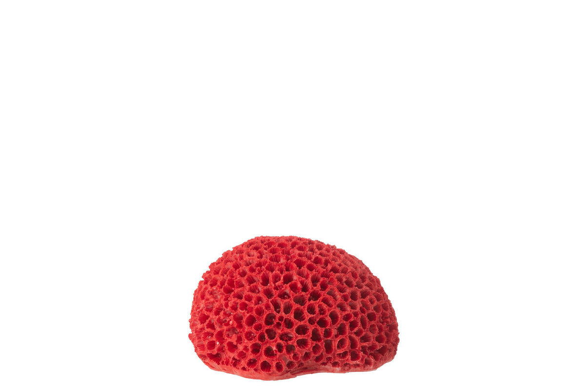 J-Line decoratie Koraal - polyresin - rood - S