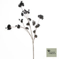 FD Prunus Malaga spray zwart 126cm