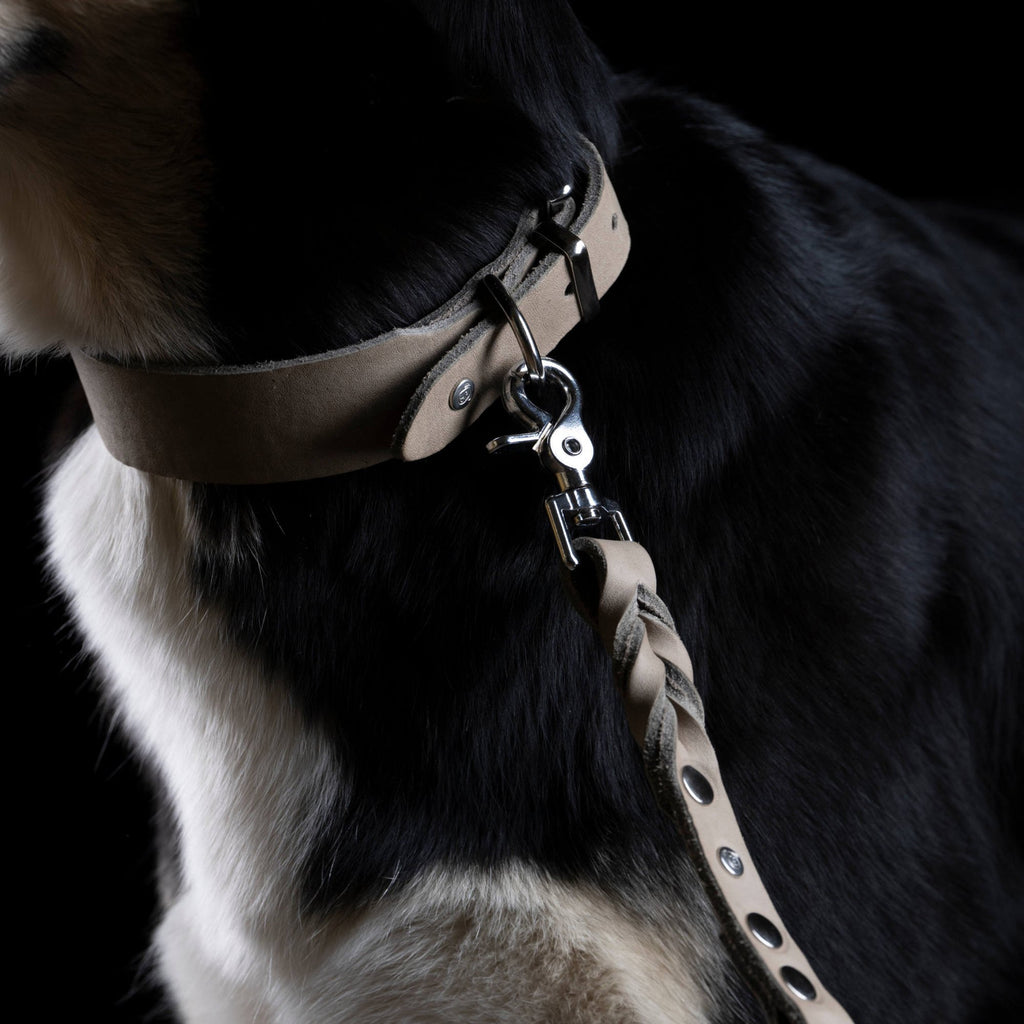 Giro leren halsband voor honden