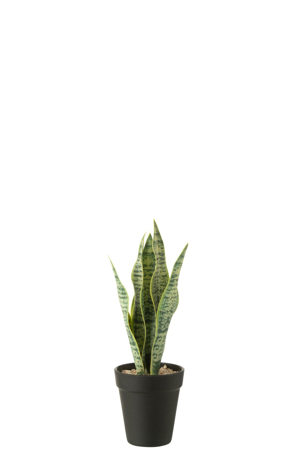 J-Line Dracaena Trifasciata In Pot Kunstmatig Groen Small