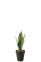 J-Line Dracaena Trifasciata In Pot Kunstmatig Groen Small