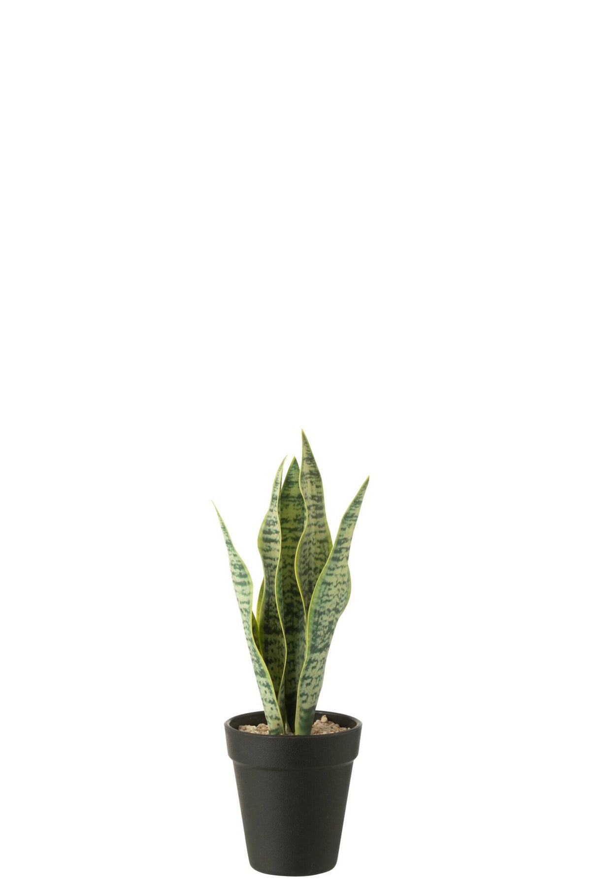 J-Line Dracaena Trifasciata In Pot Kunstmatig Groen Small