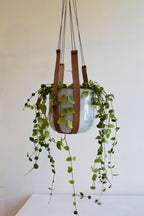 Leren hanger van Pelle