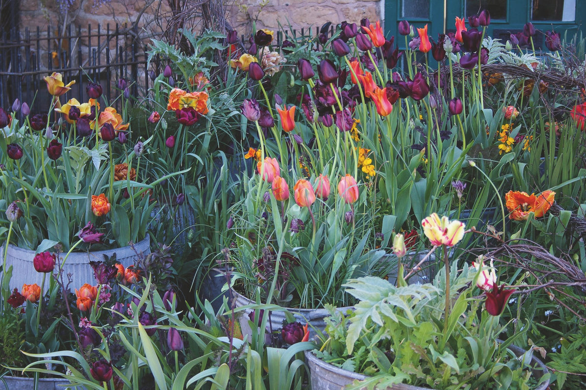 Bloemen in potten