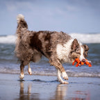 Kristof Krabbe - cultspeelgoed voor honden