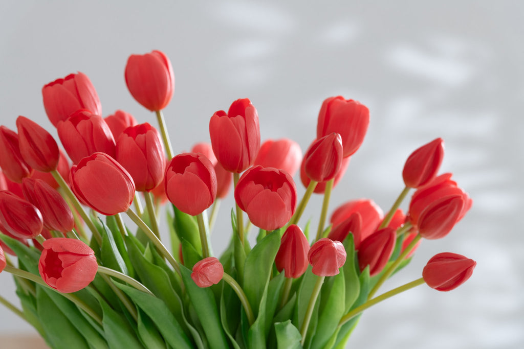 J-Line Boeket Tulpen 7Stuks Pu Koraal Roze Small