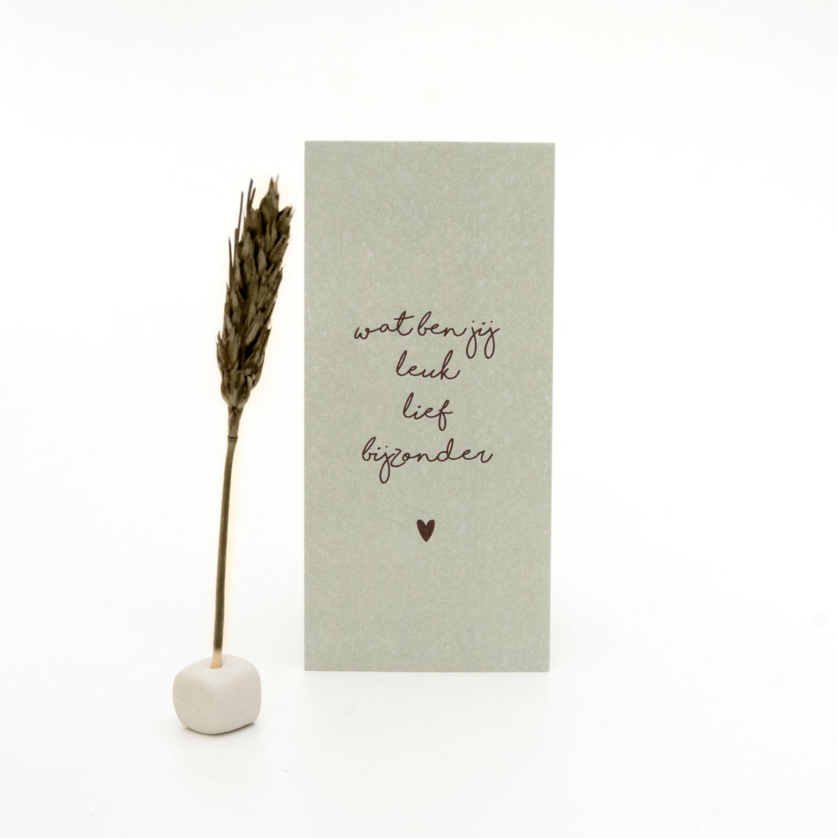 Little Box Dried Flower "Wat ben jij leuk lief bijzonder"