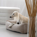 Nova Classic Hondenbed