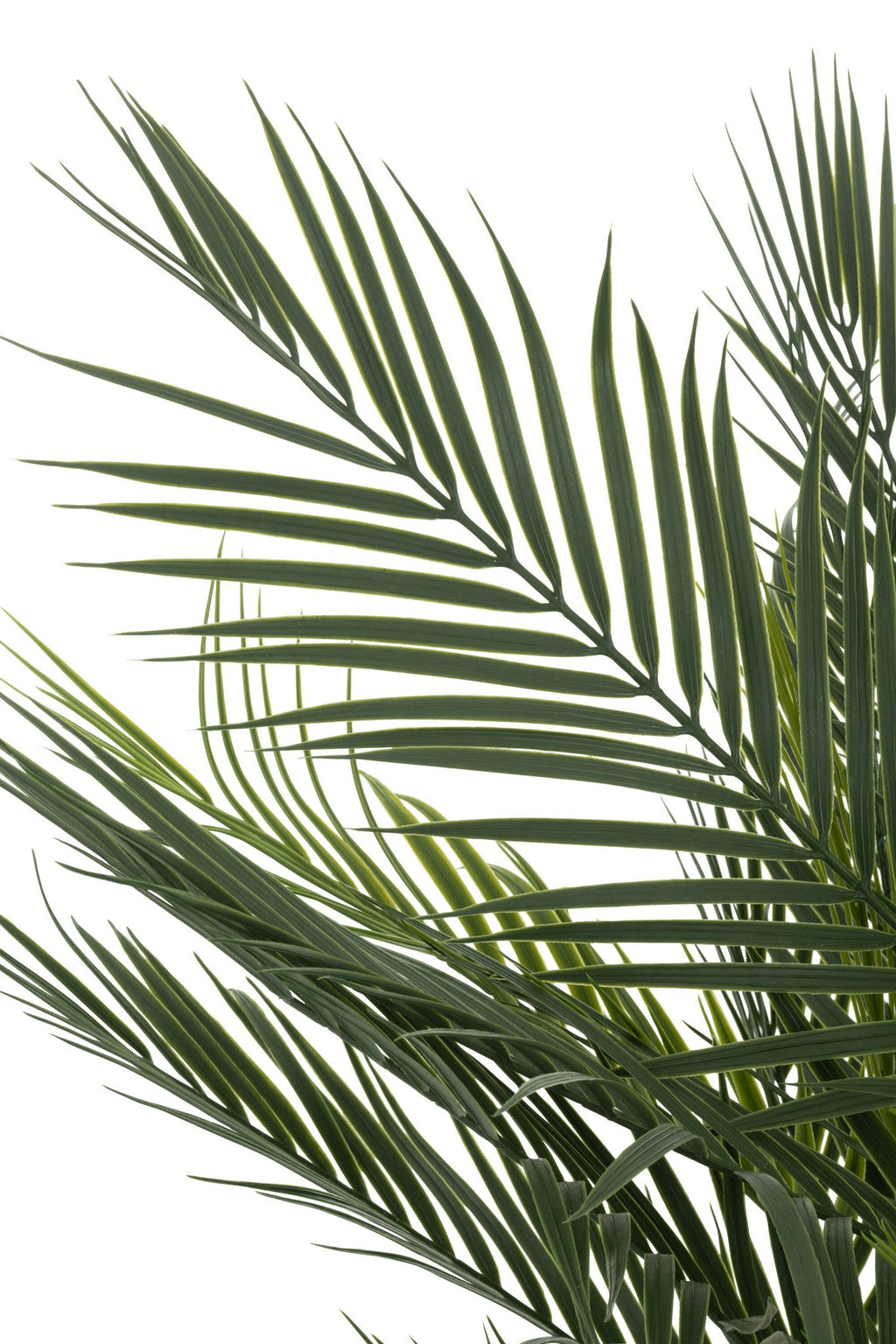 J-Line Palmboom In Pot Kunstmatig Groen