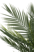 J-Line Palmboom In Pot Kunstmatig Groen