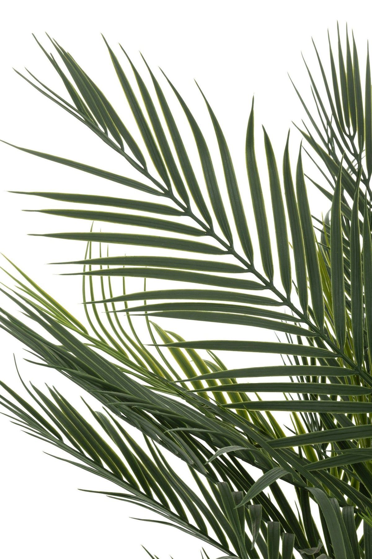 J-Line Palmboom In Pot Kunstmatig Groen