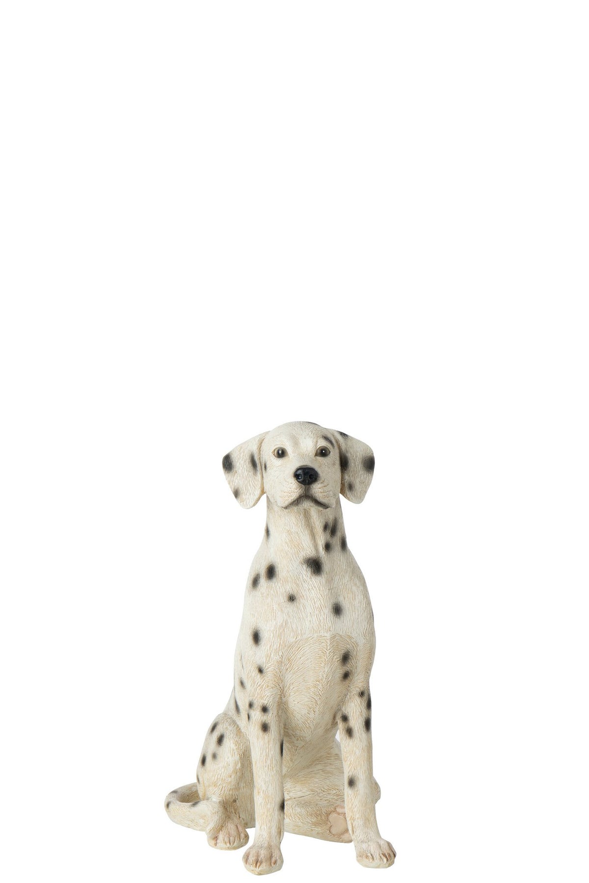 J-Line Dalmatiër - polyresin - wit/zwart - small