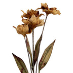 Kunstbloem 8x5x60 cm Bruin Kunststof