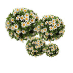 Buxus bol Ø 22 cm Wit Groen Kunststof