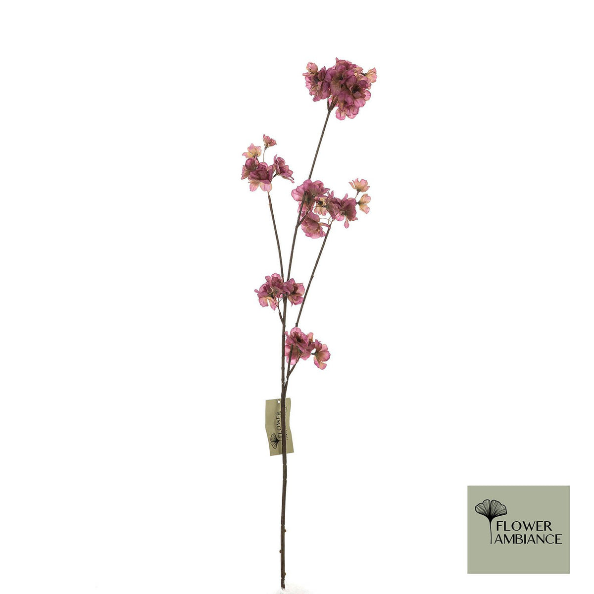 Prunus malaga tros vermiljoen 84cm