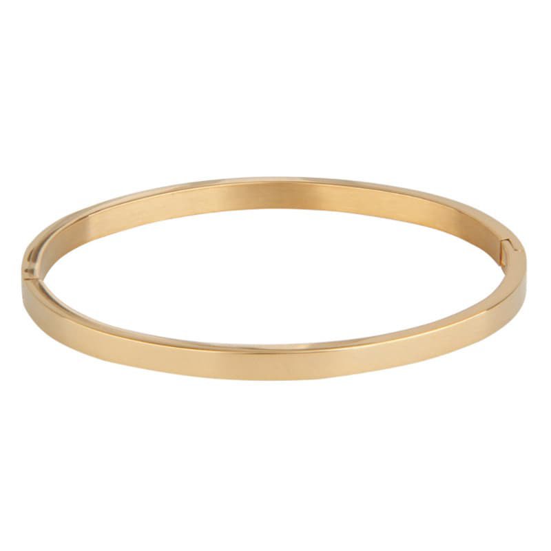 Louiz Classic Bangle 4 mm Goud