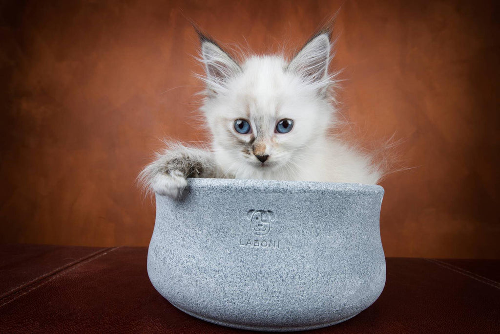 Rocky - elegante voerbak voor honden en katten
