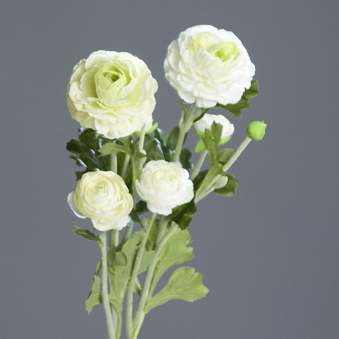 Kunsttak Ranonkel 62cm wit/groen