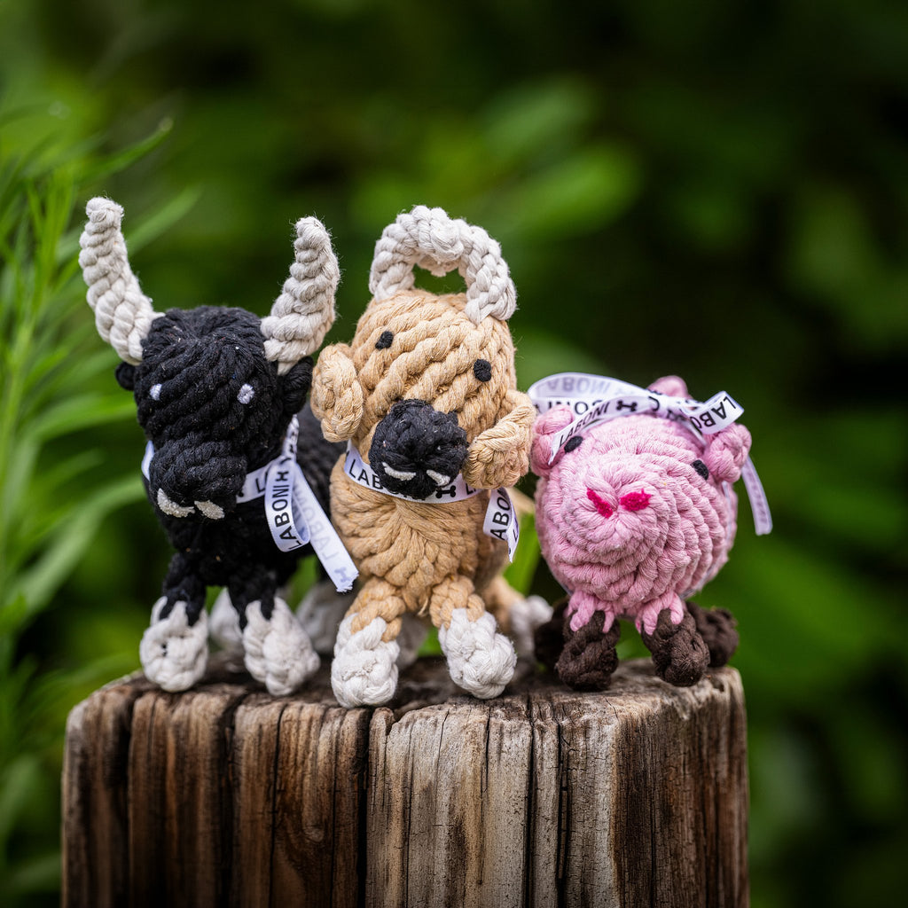 Hondenspeelgoed Katoenen Touw Lucky Pig - Piggy PIG