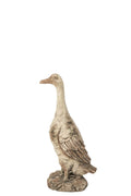 J-Line Gans voor buiten - magnesium - ecru/beige