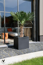 Plantenbak SALE! - El Salvador black - korting reeds in de prijs verwerkt. OP=OP