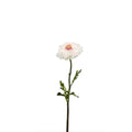 Ranonkel Kunstspuit creme/roze 50cm