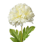 Kunstbloem 80 cm Wit Kunststof