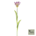 Enkele papegaai Sally paars 71cm