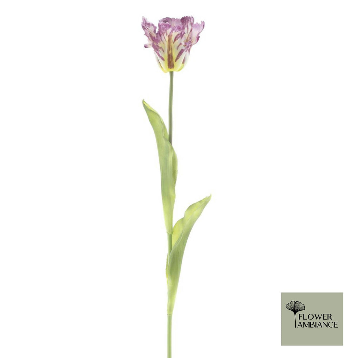 Enkele papegaai Sally paars 71cm