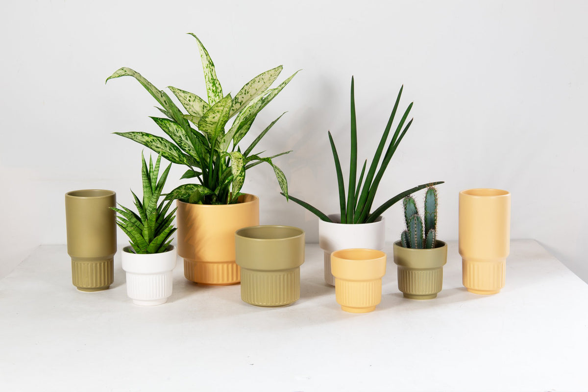 Lodi pot mat wit