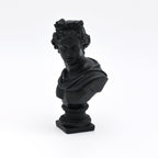Zwarte Apollo buste sculptuur voor modern interieur