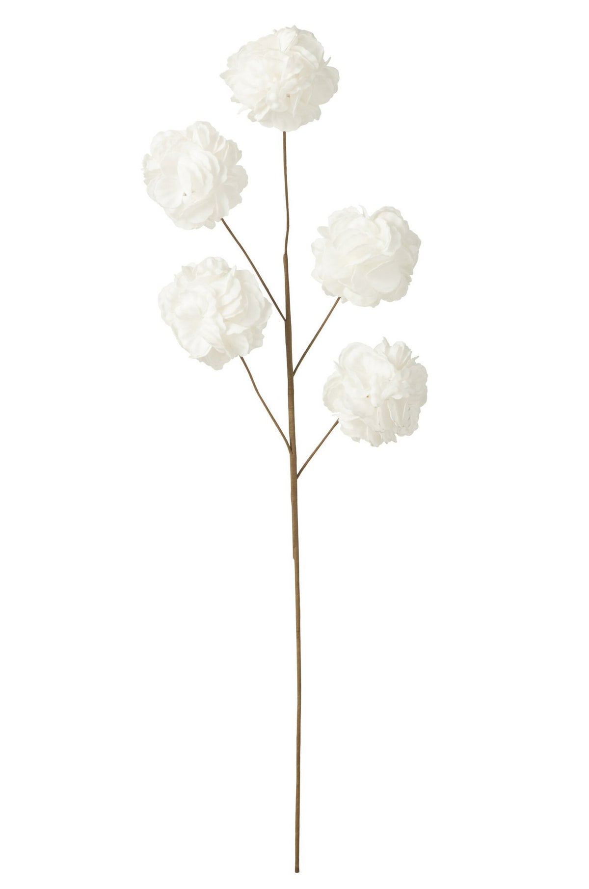 J-Line bloem tak 5 pompoms Eva - kunststof - wit