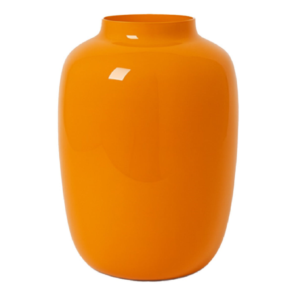 Vaas - Artic dark orange