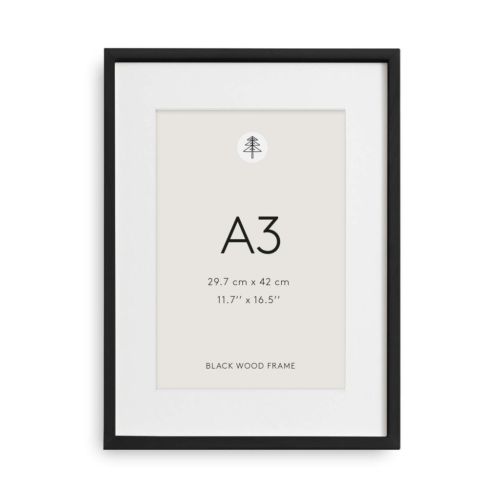 Zwarte fotolijst, A3