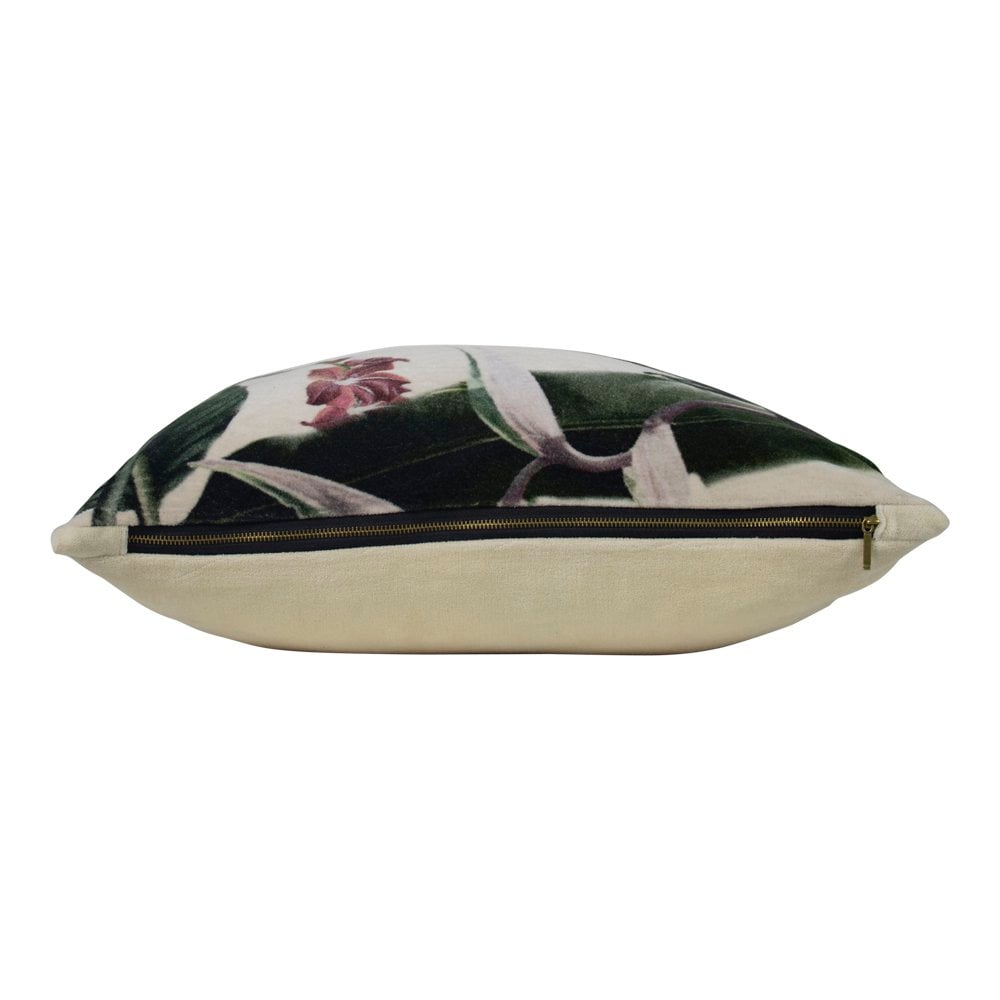 Kussen fluweel exotisch toekan 45x45cm
