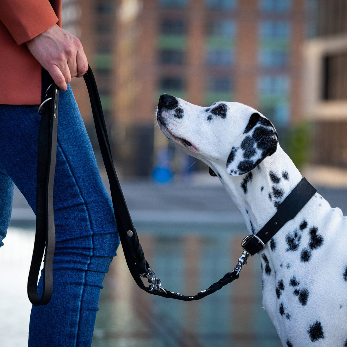Giro leren riem voor honden